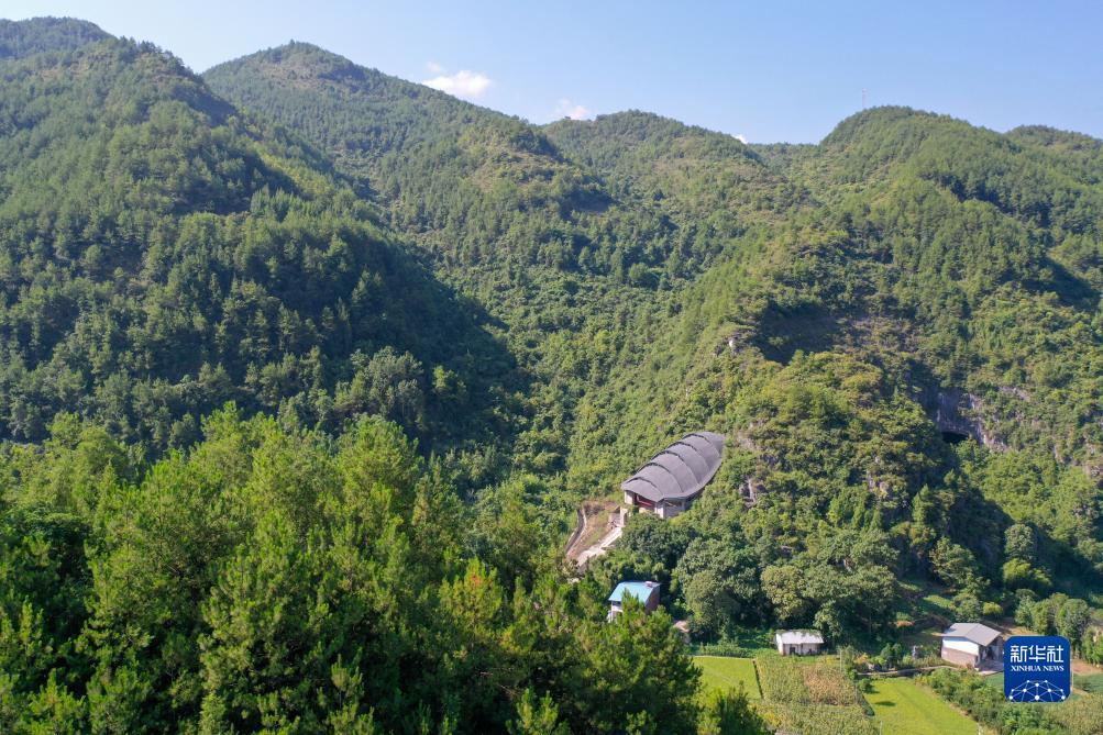 太阳城下载